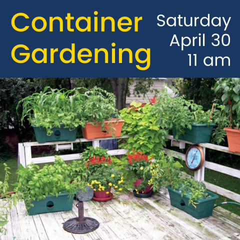 Container Gardening